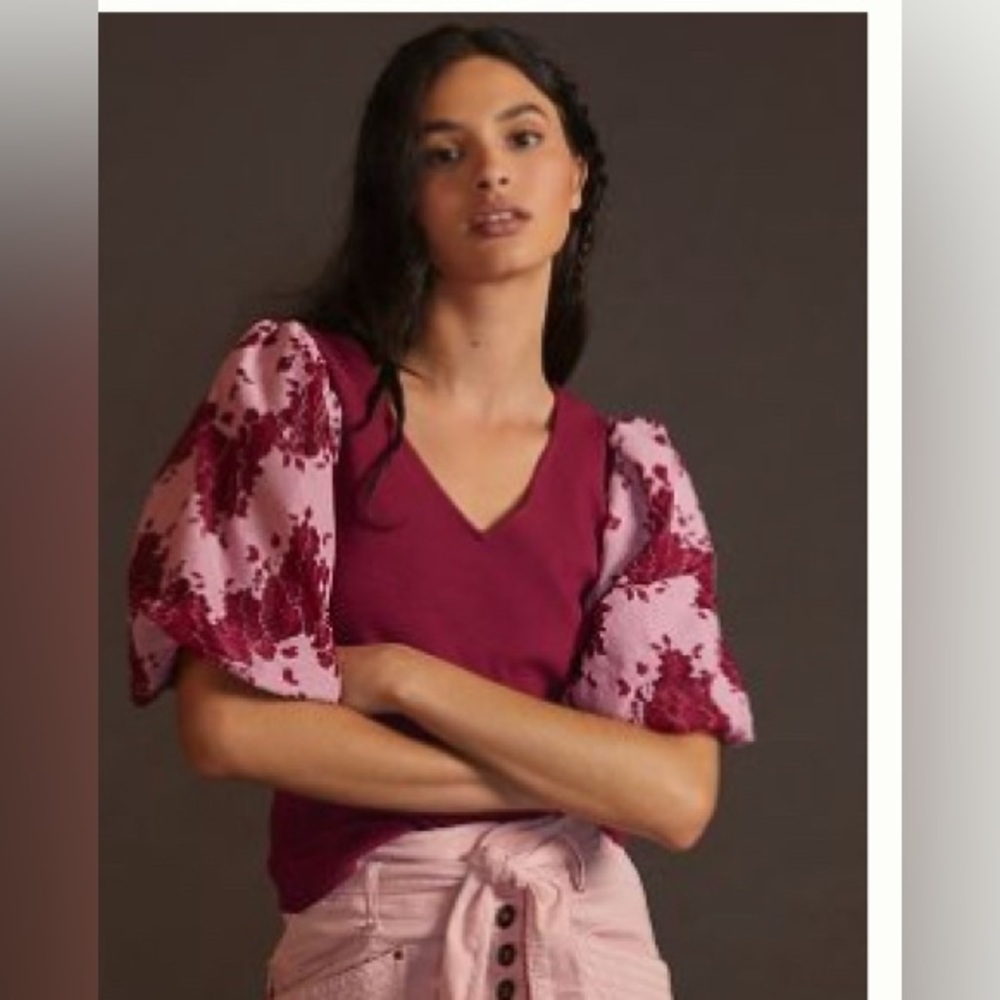 Dolan lace puffy sleeve top / Anthropologie 🩷